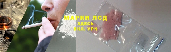 ГАЛЛЮЦИНОГЕННЫЕ ГРИБЫ Балахна