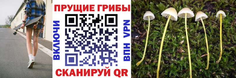Галлюциногенные грибы мухоморы  Улан-Удэ 