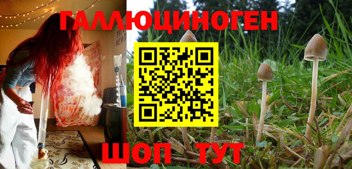 Галлюциногенные грибы ЛСД  Вход с VPN  купить наркотики сайты  Улан-Удэ 