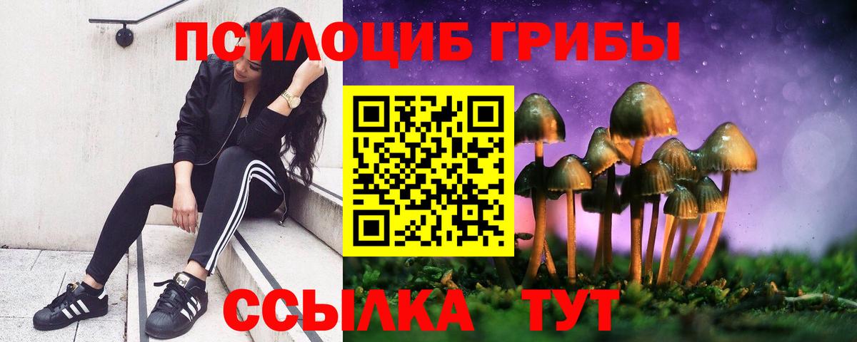 Галлюциногенные грибы GOLDEN TEACHER Улан-Удэ